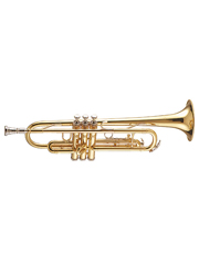 Symphony No. 40 in G Minor, 1st Movement