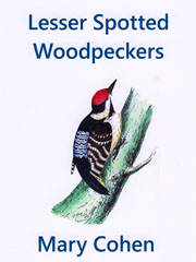Lesser Spotted Woodpeckers