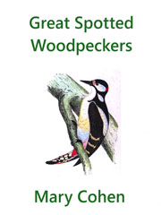 Great Spotted Woodpeckers