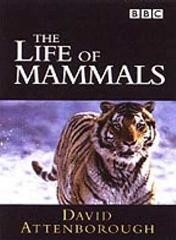 The Life Of Mammals (Theme from the BBC TV Series)