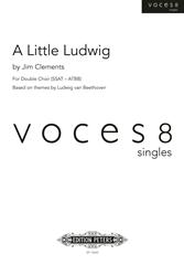 A Little Ludwig
