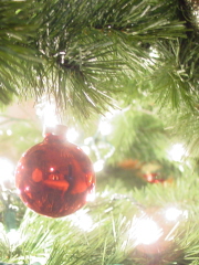 Silent Night