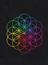 Everglow - Guitar, Piano, Voice - Faber Digital