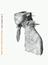 Clocks - Piano, Bass Voice, Soprano Voice, Alto Voice, Tenor Voice - Faber Digital
