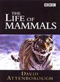 The Life Of Mammals (Theme from the BBC TV Series) Partituras