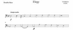 Elegy for Strings