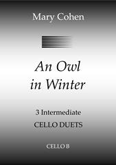 An Owl In Winter