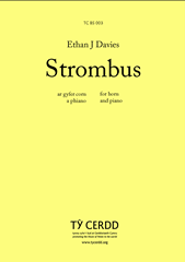 Strombus