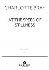 At The Speed Of Stillness