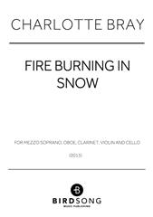 Fire Burning in Snow