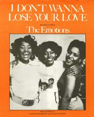 I Don't Wanna Lose Your Love