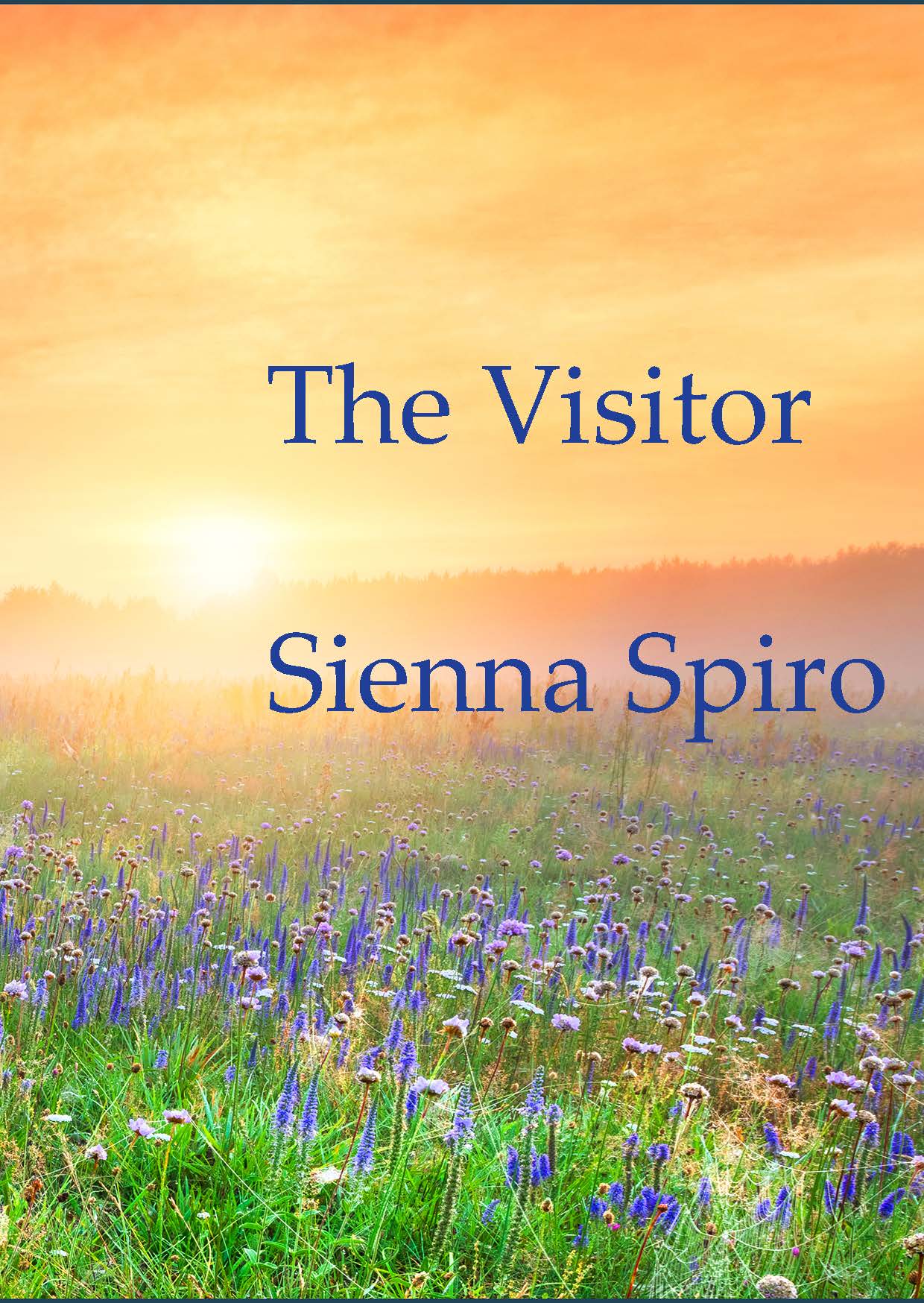 The Visitor