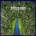 Driftwood (The Bluetones) Partitions