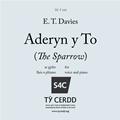 Aderyn y To Partitions