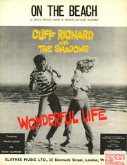 On The Beach (from 'Wonderful Life')