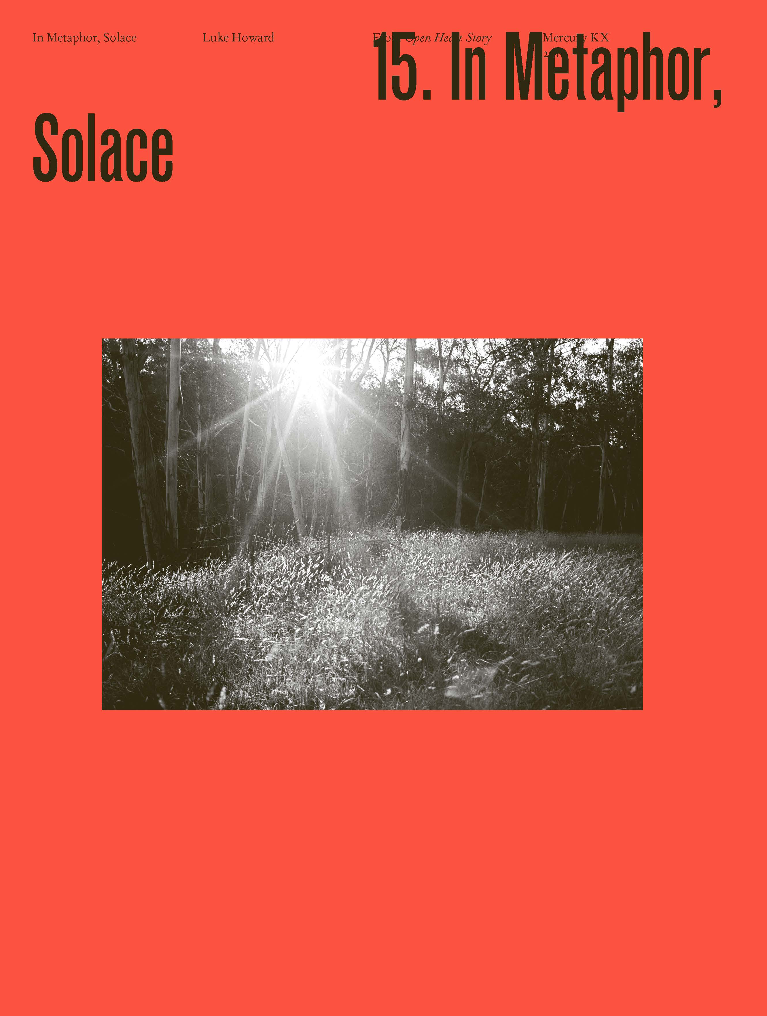 In Metaphor, Solace