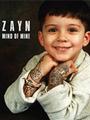 Fool For You (ZAYN) Noter