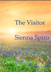 The Visitor