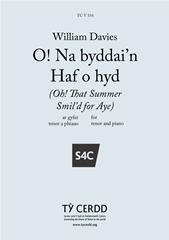 O! Na Byddai'n Haf o Hyd