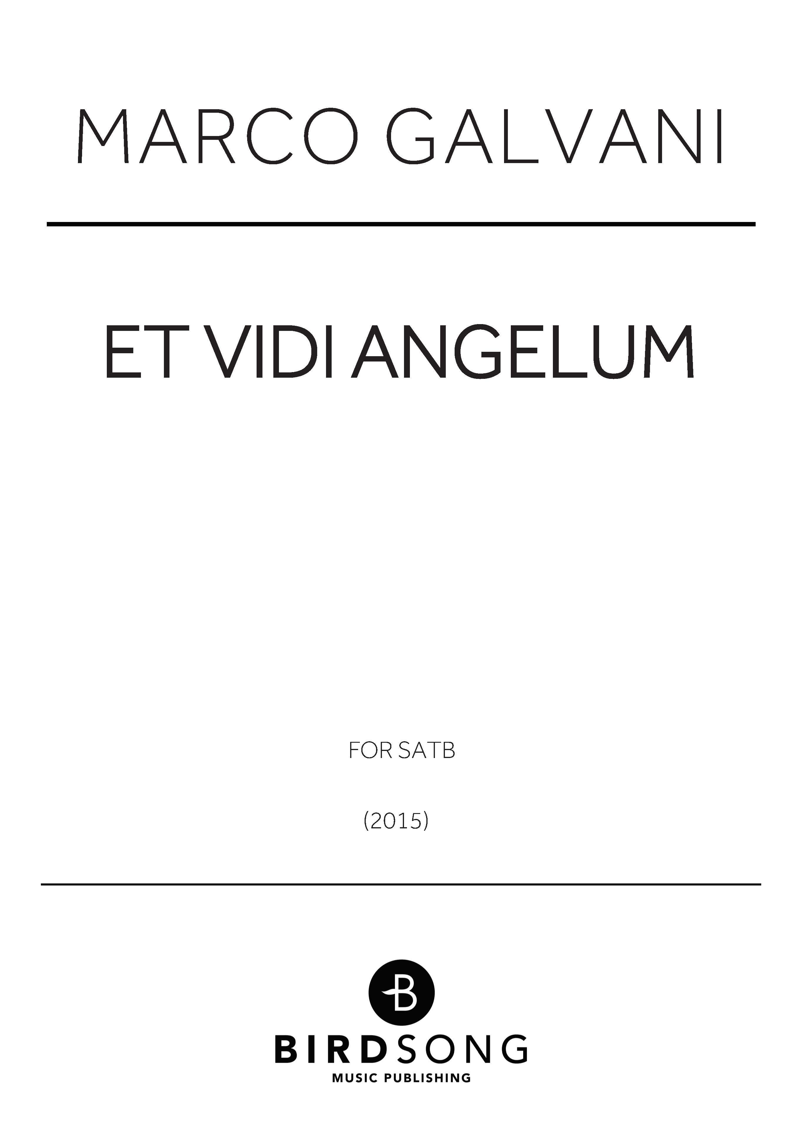 Et Vidi Angelum