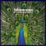Are You Blue Or Are You Blind - Guitar, Voice - Faber Digital