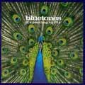 Vampire (The Bluetones) Partitions