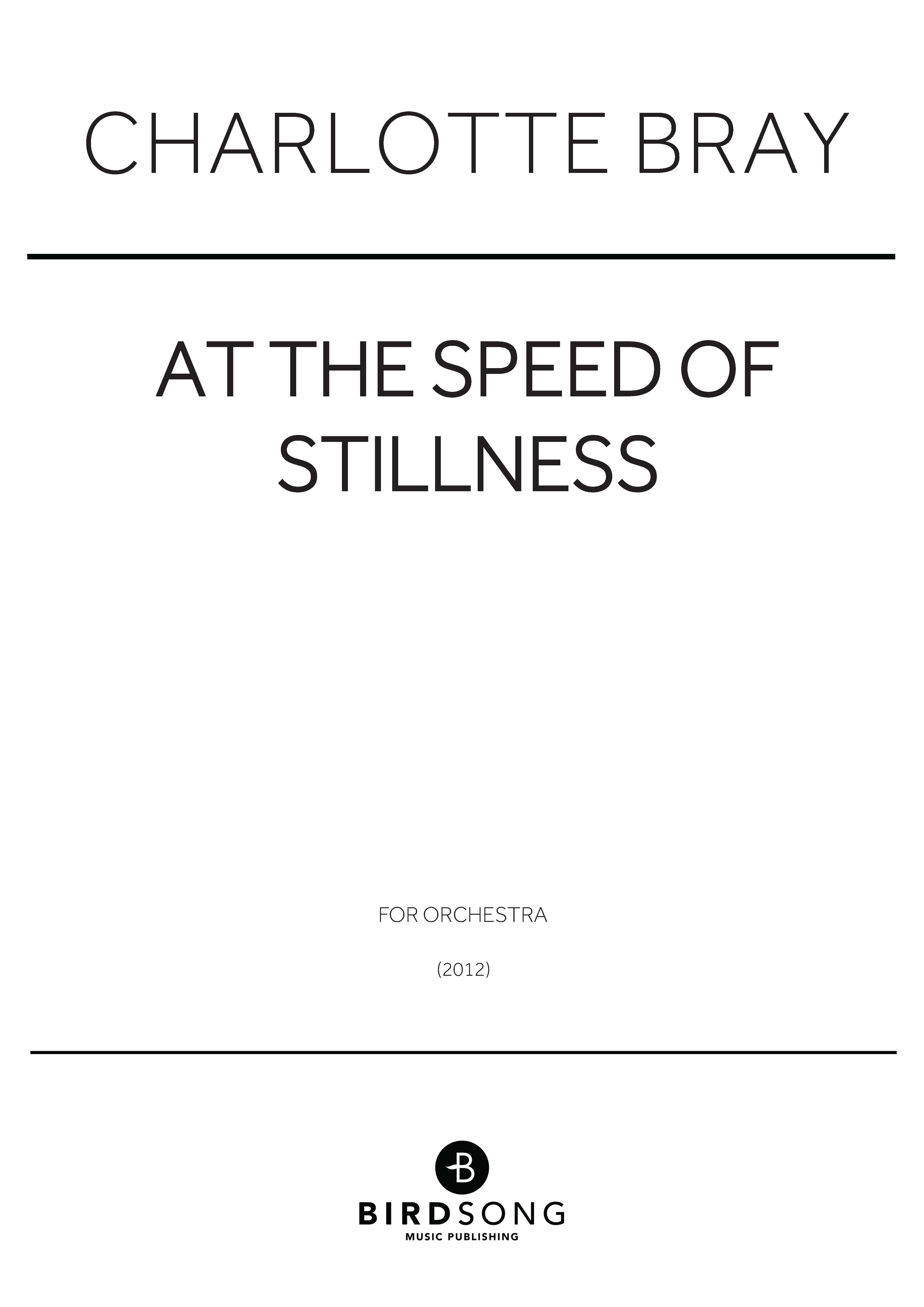 At The Speed Of Stillness