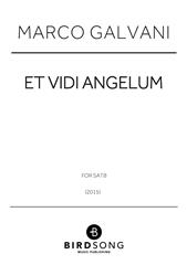 Et Vidi Angelum
